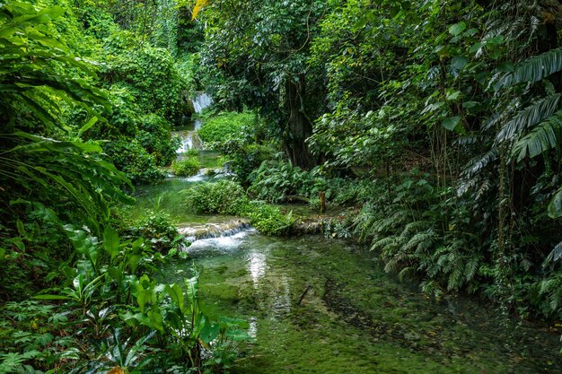 Splendide cascate di Mele Maat a Port Vila Efate Island Vanuatu Sud Pacifico