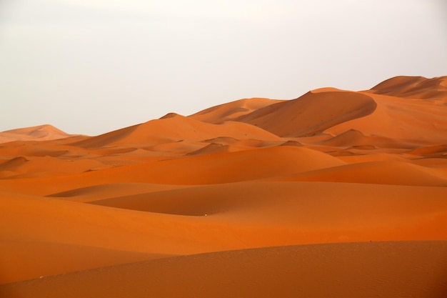 Splendide dune di sabbia di Merzouga