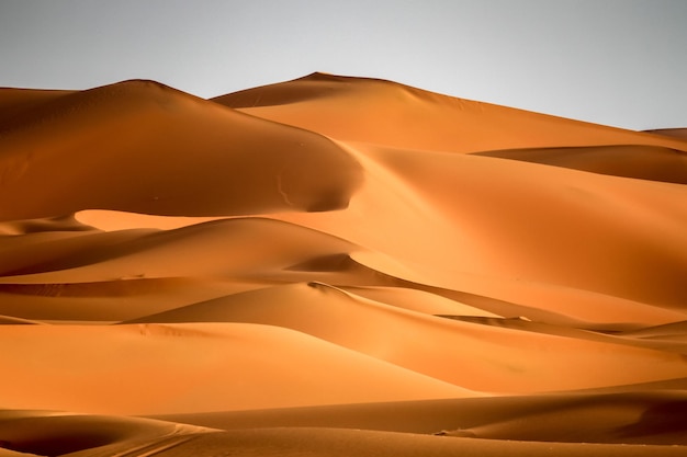 Splendide dune di sabbia di Merzouga