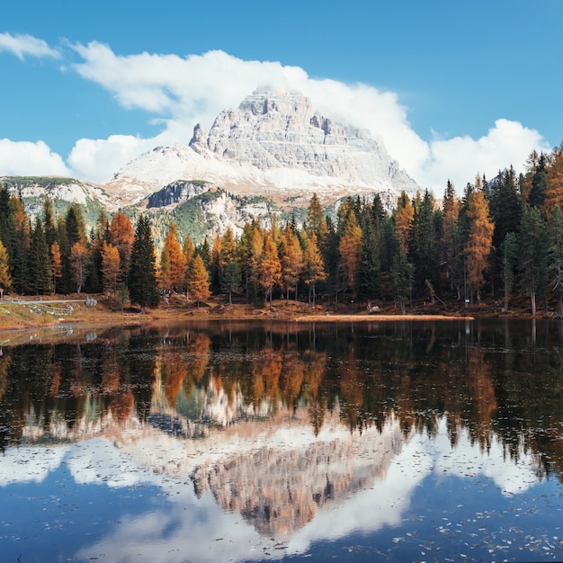 Splendide montagne in nuvole. Grande paesaggio. Bosco vicino al lago