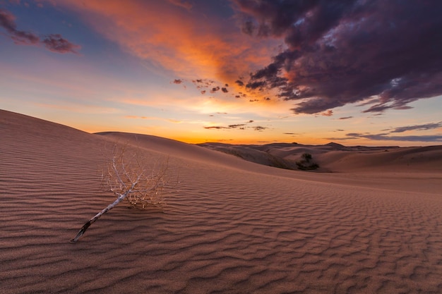 Splendide vedute del deserto del Gobi in Mongolia