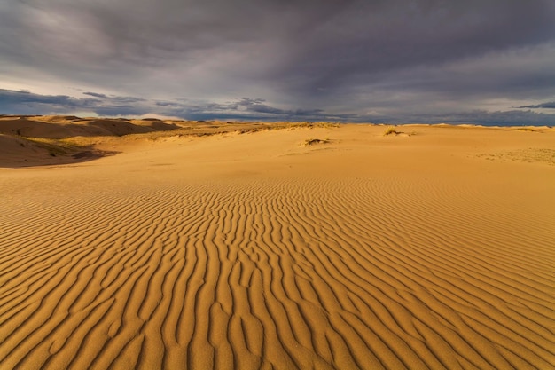 Splendide vedute del paesaggio desertico Deserto del Gobi Mongolia