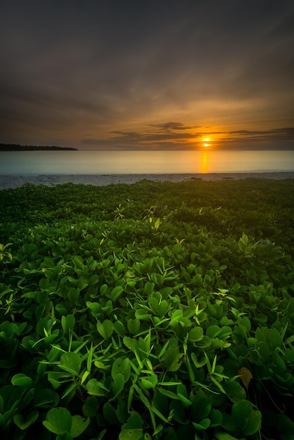 Splendide vedute del tramonto su tutta la costa delle isole Mentawai