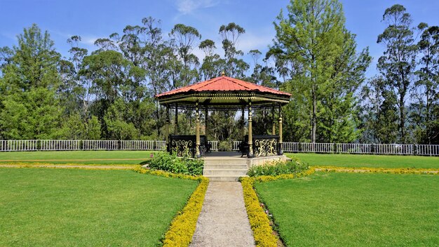 Splendidi paesaggi del parco del tè del governo ooty