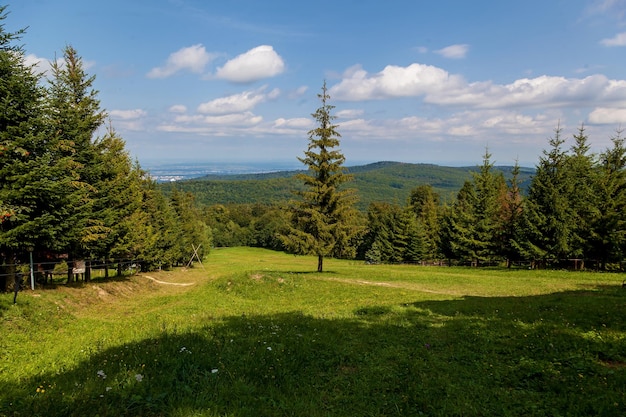 Splendidi paesaggi delle montagne dei Carpazi