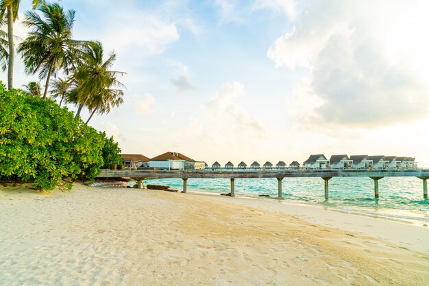 Splendido hotel resort tropicale e isola delle Maldive con spiaggia e mare