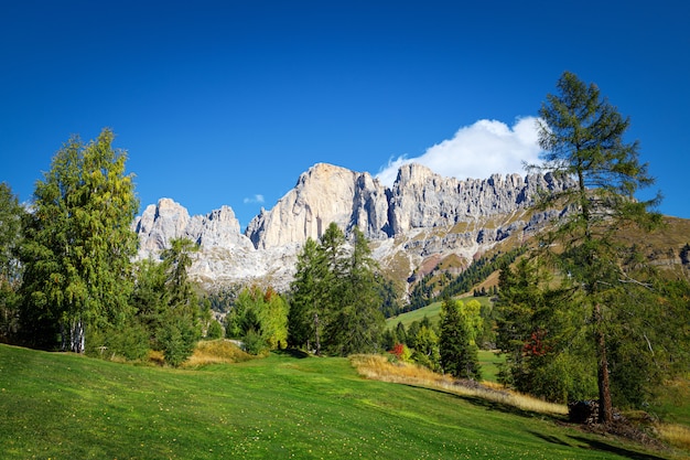 Splendido paesaggio alpino