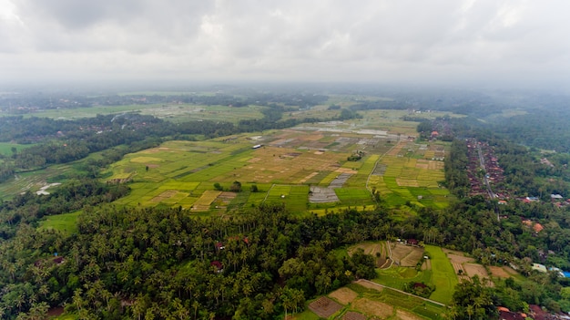 Splendido paesaggio di un villaggio balinese