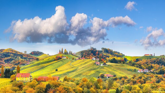 Splendido paesaggio di vigneti nella Stiria meridionale vicino a Gamlitz