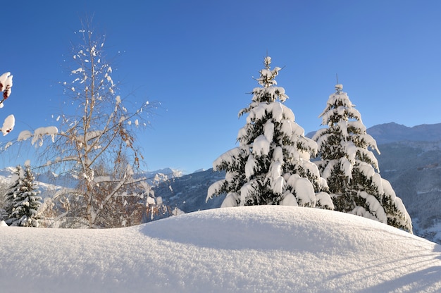 Splendido paesaggio invernale