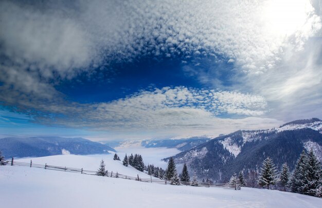 Splendido paesaggio invernale