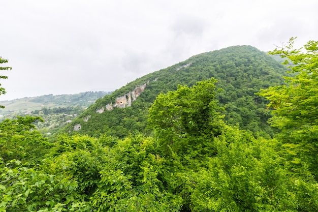 Splendido paesaggio montano estivo