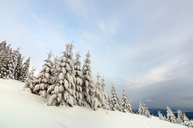 Splendido paesaggio montano invernale