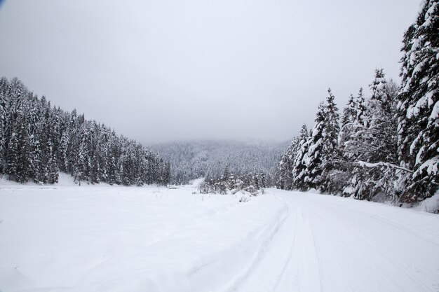 Splendido paesaggio montano invernale