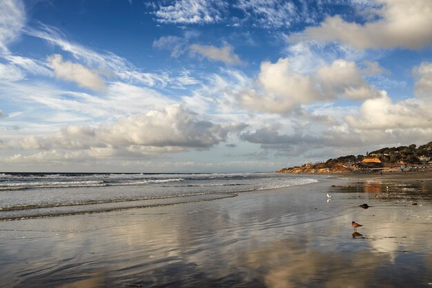 Splendido paesaggio sulla spiaggia del mare in una giornata nuvolosa con spazio per la copia Onde calme sulla riva su una costa tranquilla con un pacifico orizzonte blu Natura panoramica nella località di viaggio a San Diego in California