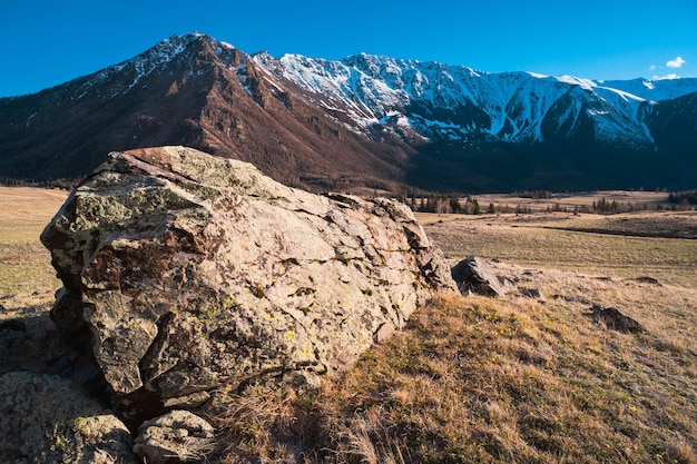 Splendido panorama sulle montagne