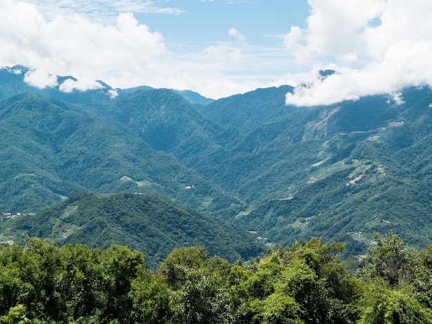 Splendido scenario alla fattoria di Cingjing