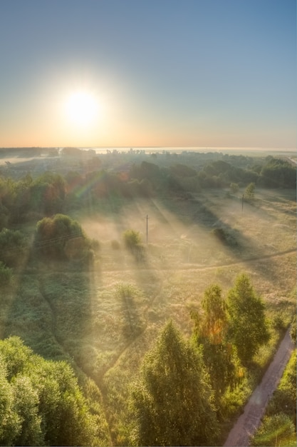 Splendido scenario con nebbia