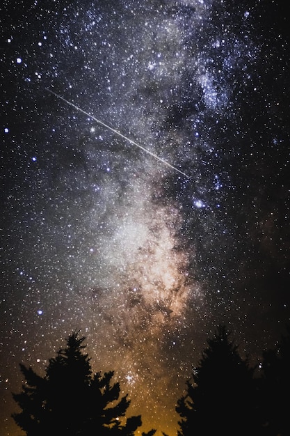 Splendido scenario della Via Lattea nel cielo notturno su una serie di alberi