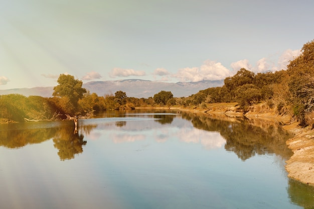 Splendido scenario delle rive di un fiume