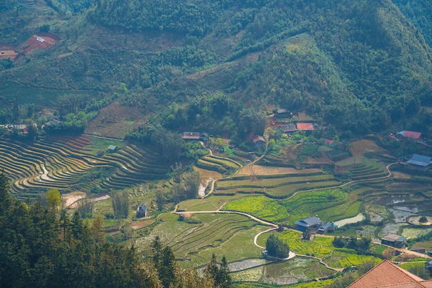 Splendido scenario di Cat Cat villagea villaggio culturale dell'altopiano a Sapa Terrazze di campi di riso risaie popolare meta turistica di trekking