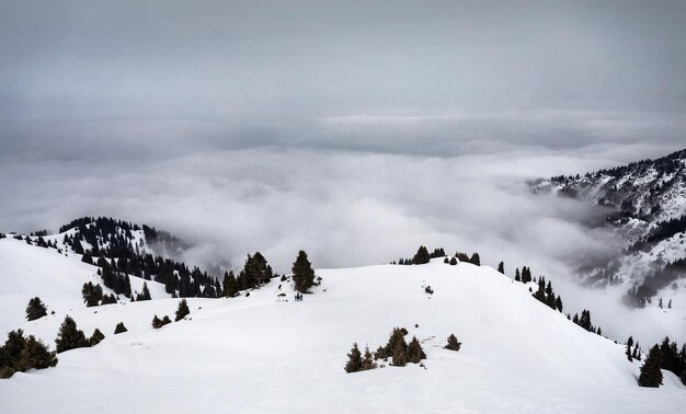 Splendido scenario di montagne invernali