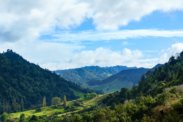 Splendido scenario di Whanganui River Road nel Parco Nazionale in autunno, Whanganui, Isola del nord della Nuova Zelanda