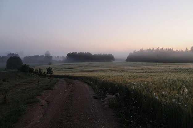 Splendido scenario pastorale naturale del paesaggio di campagna in estate