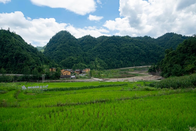 Splendido scenario rurale in Cina