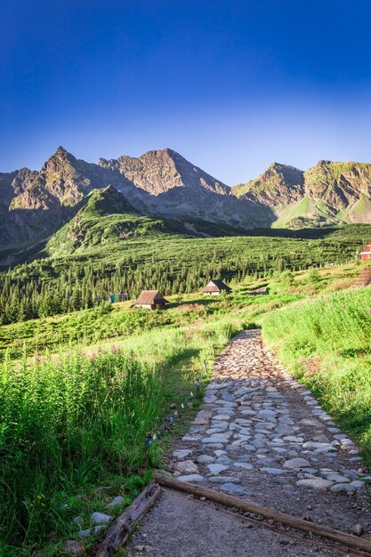 Splendido sentiero di montagna che conduce a un piccolo villaggio in Polonia Europa