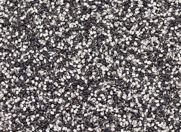 Split Black Lentil (Urad Dal) riempito come sfondo