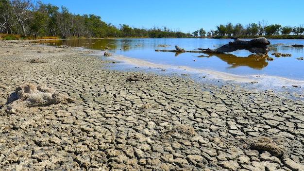 Sponda secca e screpolata di un lago salato