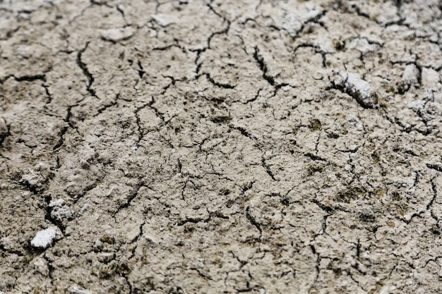 sporcizia o sfondo sporco terra sporca trama