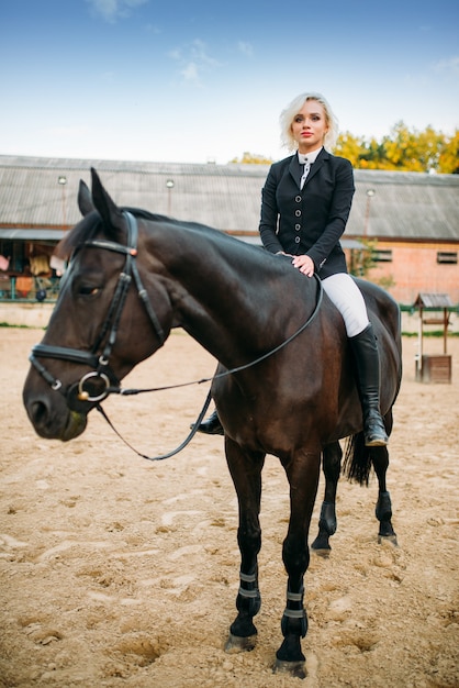 Sport equestre, la donna si pone a cavallo. Stallone marrone, tempo libero con animali, a cavallo