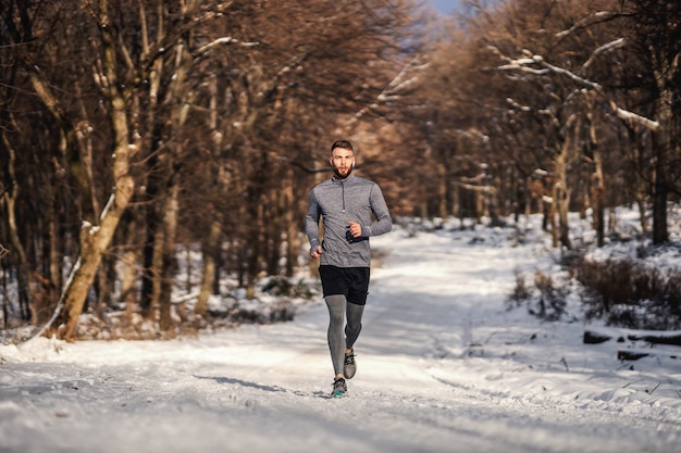 Sportivo in esecuzione su sentiero innevato nei boschi in inverno. Sport invernali, sane abitudini, fitness all'aria aperta