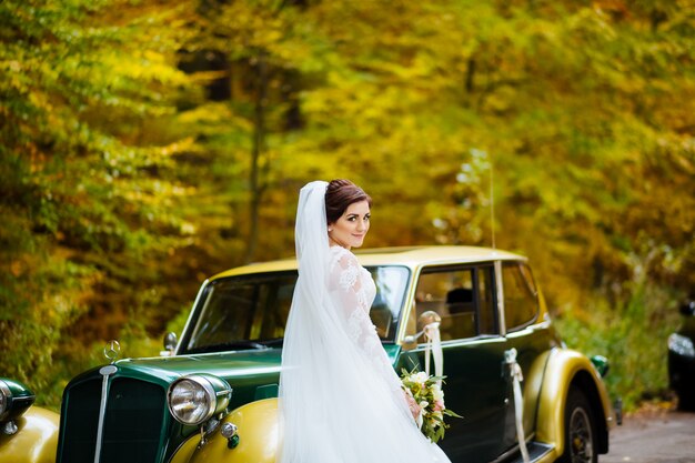 Sposa che posa sui precedenti della foresta e delle macchine di autunno