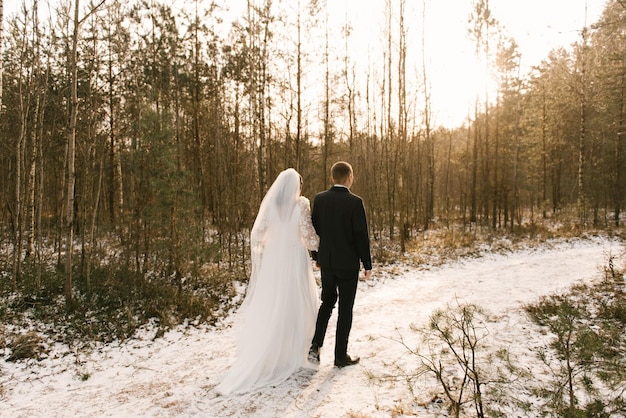 Sposa e sposo in abito da sposa vista posteriore al sole inverno nevoso matrimonio