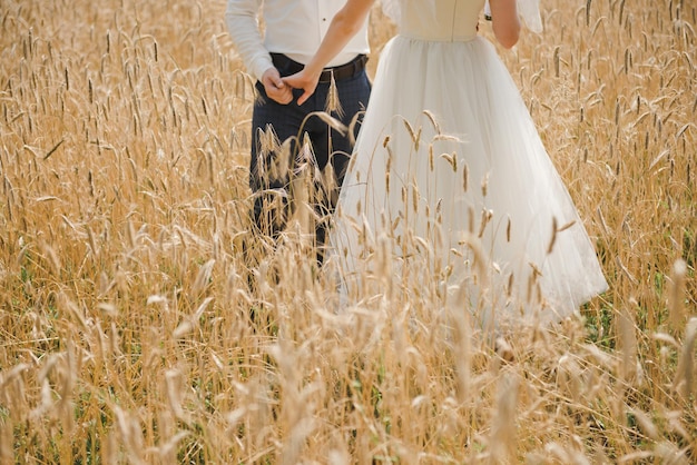 Sposa e sposo in un campo di grano. Novelli sposi. Giorno del matrimonio.