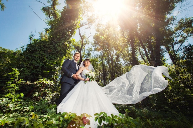 Sposa e sposo nella foresta verde di estate stupefacente