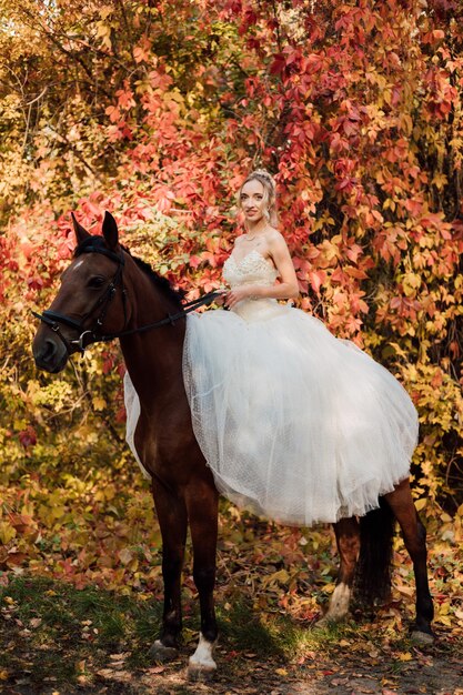 Sposa in un lussureggiante abito bianco in posa in un parco autunnale su un cavallo in una giornata di sole