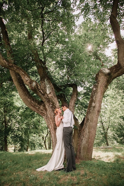Sposi felici in piedi vicino a un grande albero diffuso. momento romantico