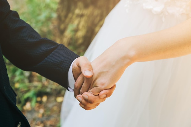 Sposi innamorati Lo sposo tiene la mano della sposa Storia d'amore