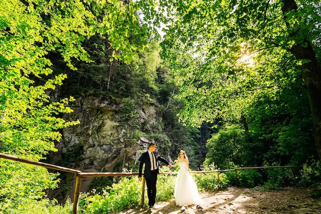 Sposi romantici che si tengono per mano, camminando in una bellissima foresta verde.
