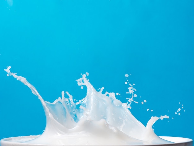 Spruzzata di latte da una tazza su sfondo blu.
