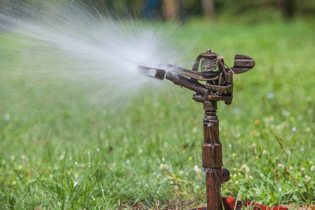 Spruzzatore che spruzza l&#39;acqua nel parco pubblico.