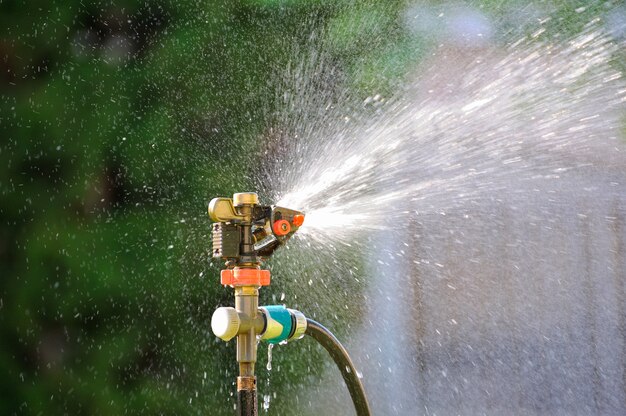 Spruzzatore del prato che spruzza acqua sull'erba verde. Sistema di irrigazione. retroilluminazione