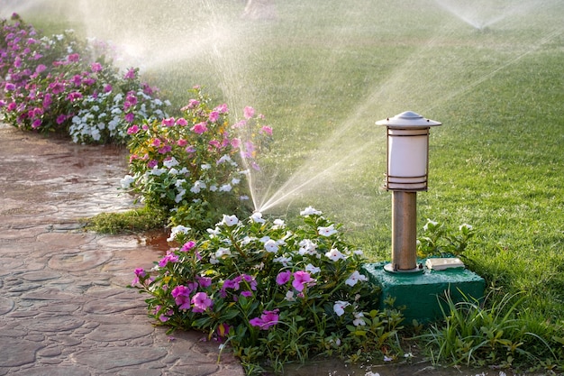 Spruzzatore di plastica che irriga il letto di fiori sul prato con acqua nel giardino estivo. Innaffiare la vegetazione verde durante la stagione secca per mantenerla fresca.