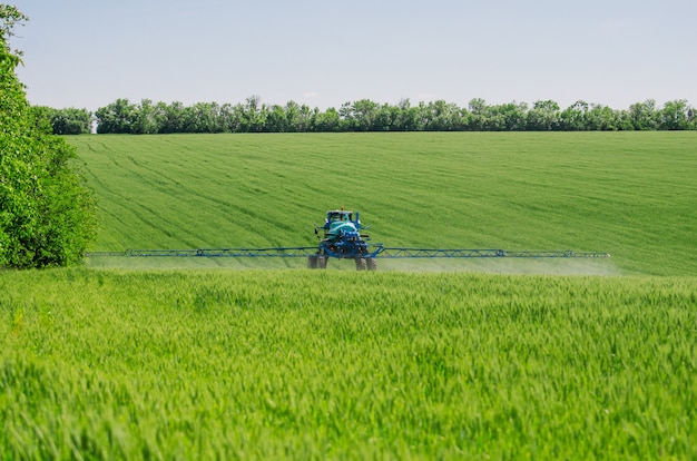 Spruzzatori agricoli, spray chimici su grano giovane.