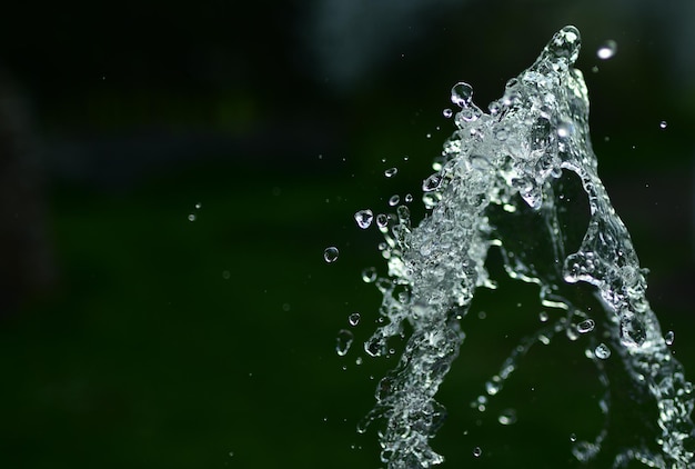 spruzzi d'acqua su uno sfondo scuro