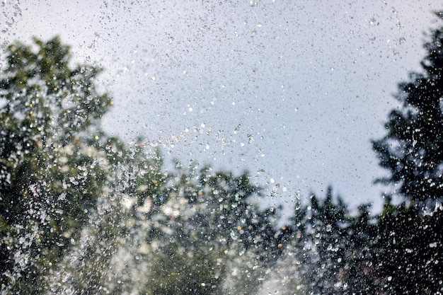 Spruzzi d'acqua sullo sfondo degli alberi